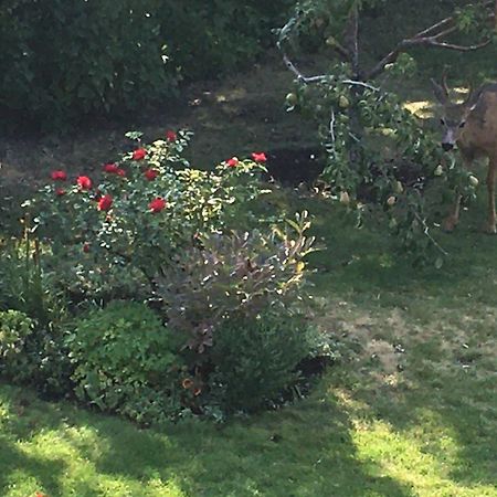 Lakeview Gardens B&B Peachland Esterno foto